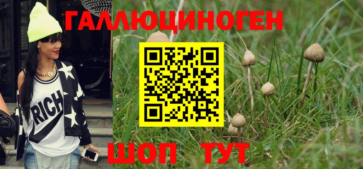 Псилоцибиновые грибы Cubensis Пенза