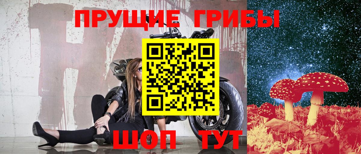 наркотики  Вход с VPN  Пенза  Псилоцибиновые грибы мухоморы 